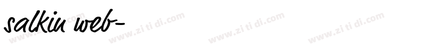 salkin web字体转换